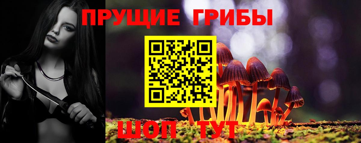 Рязань  Галлюциногенные грибы GOLDEN TEACHER  Вход с VPN 